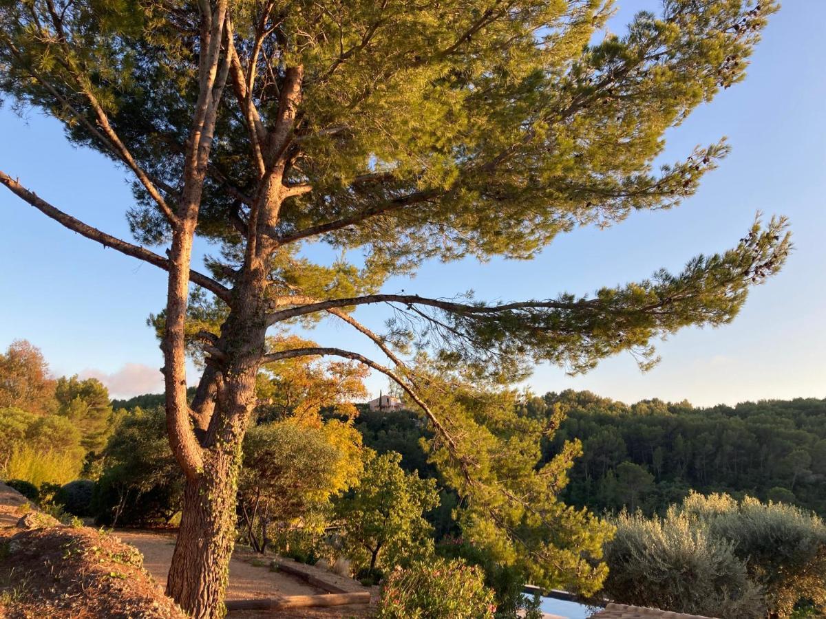 Castel'Lodge Le Beausset Esterno foto